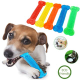 Molar Tooth Cleaner Toy