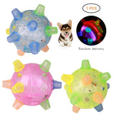 Pet LED Vibrating Activation Ball